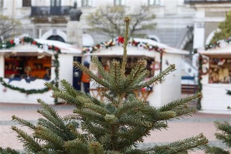 steffisburg weihnachtsmarkt|Chrischtchindlimärit 2024